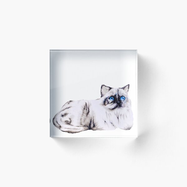 Lucy cat Acrylic Block