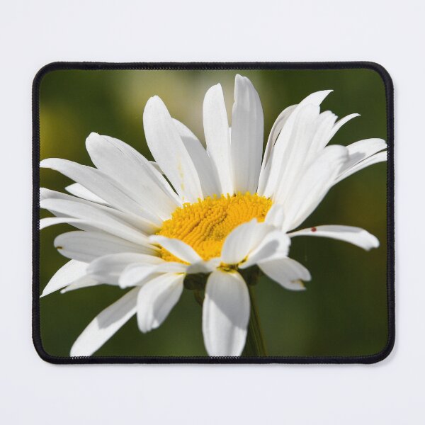 Item preview, daisy flower head designed and sold by markspics.