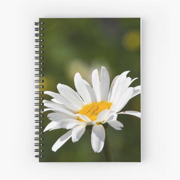 Item preview, daisy flower head designed and sold by markspics.