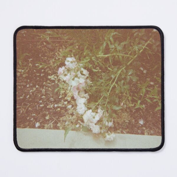 Item preview, Flowers in Warwick on 35mm film photography designed and sold by Dominique Tassell.