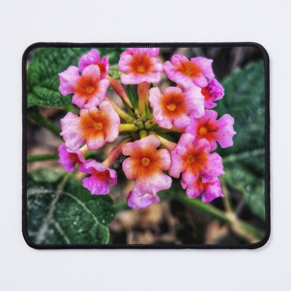 Item preview, Little Colorful flowers designed and sold by Aj dreamwork.