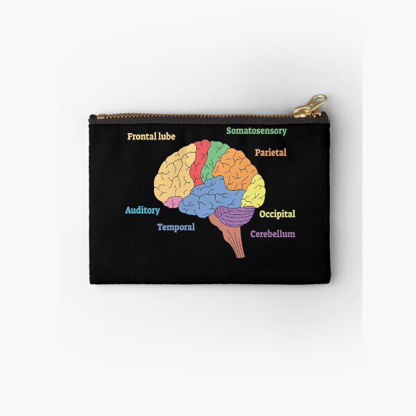 Artikelvorschau, Gehirn Diagramm Neurologie Wissenschaft entworfen und verkauft von MooonTees.