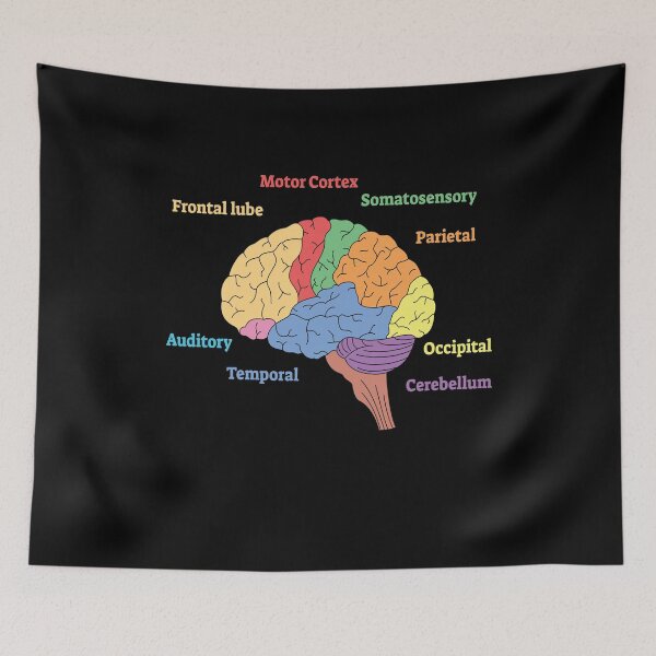 Item preview, Brain Diagram Neurology Science designed and sold by MooonTees.