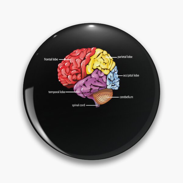 Item preview, Neurology Diagram Brain Science designed and sold by MooonTees.