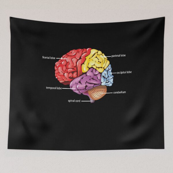Item preview, Neurology Diagram Brain Science designed and sold by MooonTees.