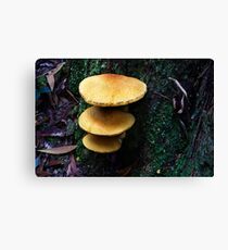 1736 The stack Canvas Print