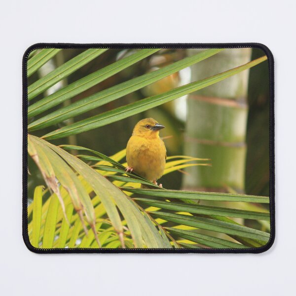 Item preview, Little yellow weaver in a palm tree. designed and sold by Jean-Marie Heyman.