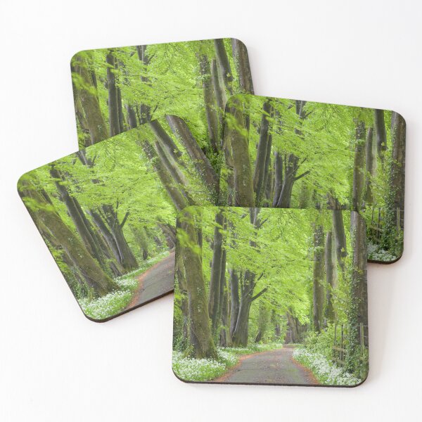 Item preview, Beech & Wild Garlic Woodland designed and sold by Craig Joiner.