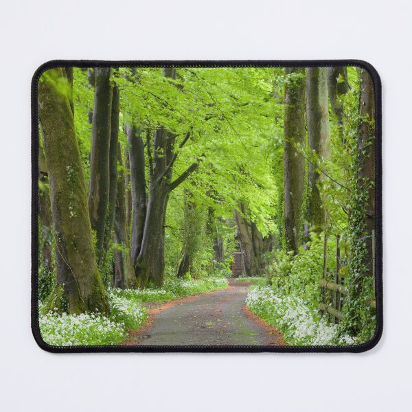 Item preview, Beech & Wild Garlic Woodland designed and sold by Craig Joiner.