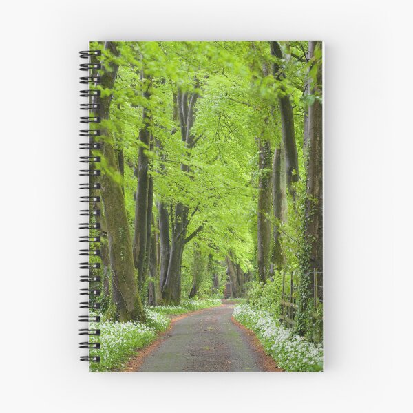 Item preview, Beech & Wild Garlic Woodland designed and sold by Craig Joiner.
