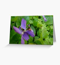 lady Greeting Card