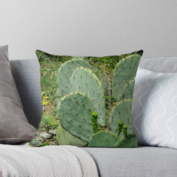 Aperçu de l'œuvre Cacti ^ créée et vendue par ctheworld.