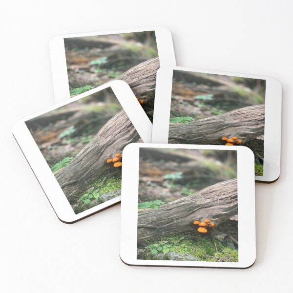 Item preview, Blackwater Falls State Park, West Virginia designed and sold by Matthew Carroll.