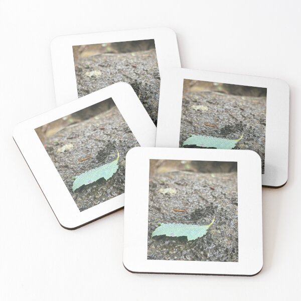 Item preview, Blackwater Falls State Park, West Virginia designed and sold by Matthew Carroll.
