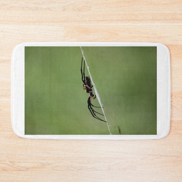 Item preview, Spider and Web designed and sold by ktmobrien.