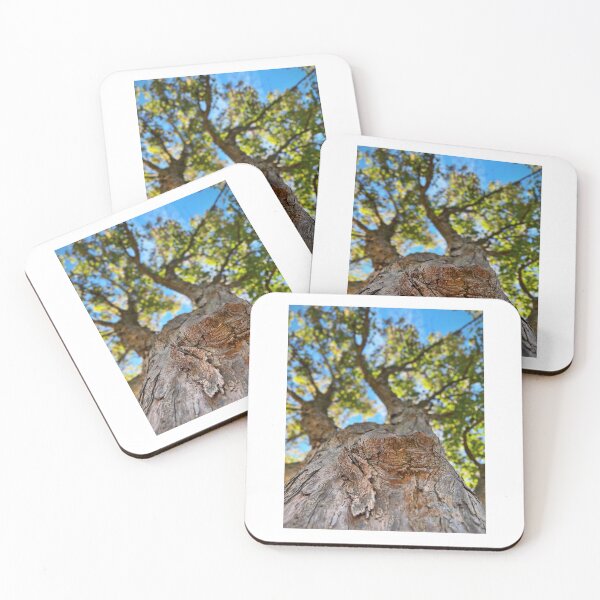Item preview, Tree designed and sold by Matthew Carroll.