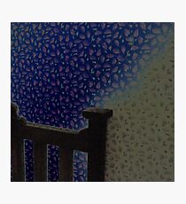 Wallpaper Photographic Print