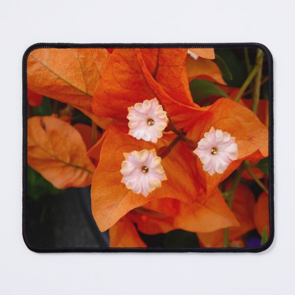 Item preview, Bougainvillea orange designed and sold by Maxiverse.