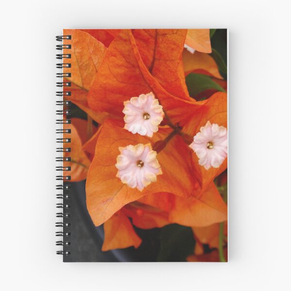 Item preview, Bougainvillea orange designed and sold by Maxiverse.