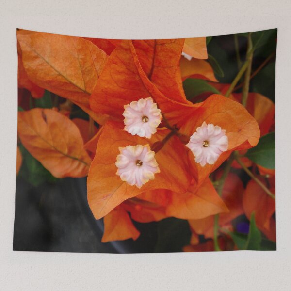 Item preview, Bougainvillea orange designed and sold by Maxiverse.