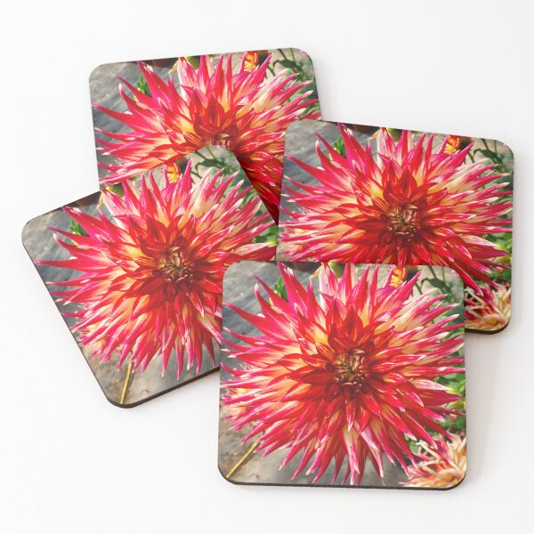 Item preview, Star dahlia red designed and sold by Maxiverse.