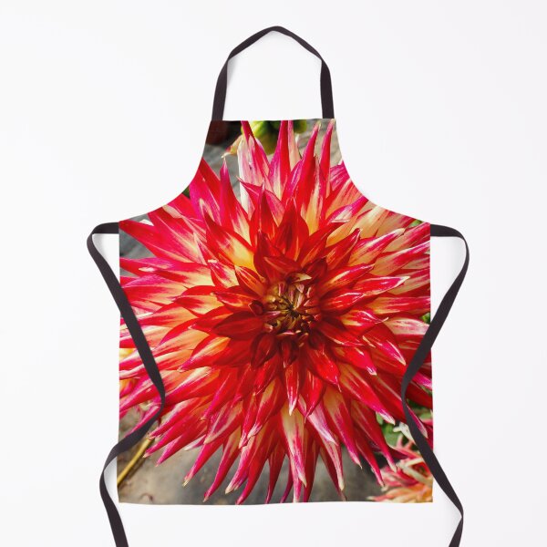 Aperçu de l'œuvre Dahlia étoilé rouge créée et vendue par Maxiverse.