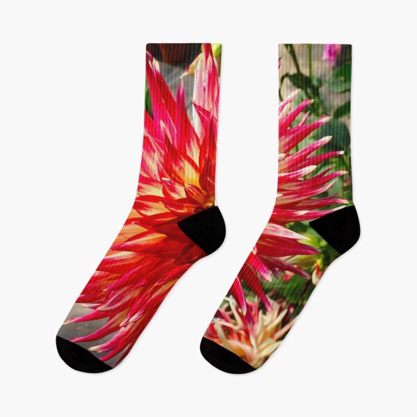 Item preview, Star dahlia red designed and sold by Maxiverse.