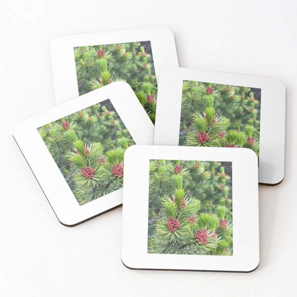 Item preview, Pinecones designed and sold by Matthew Carroll.