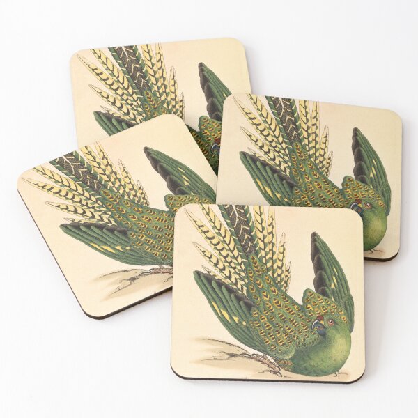 Item preview, James Sowerby Ground Parrot, Psittacus terrestris  designed and sold by OldTimeArt.