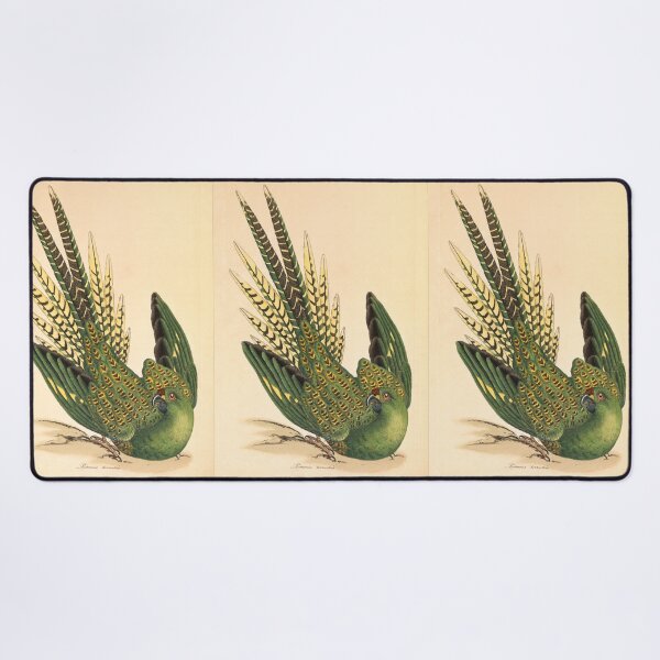 Item preview, James Sowerby Ground Parrot, Psittacus terrestris designed and sold by OldTimeArt.