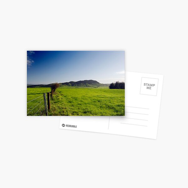 New Zealand Countryside Postcard