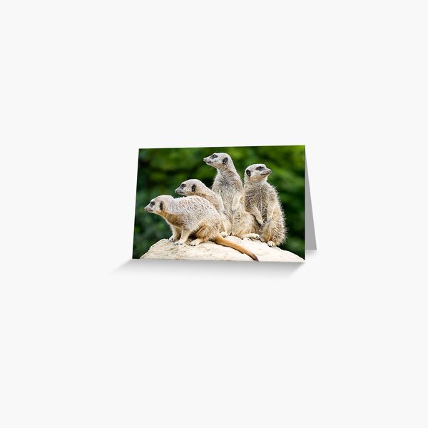 On Lookout Greeting Card
