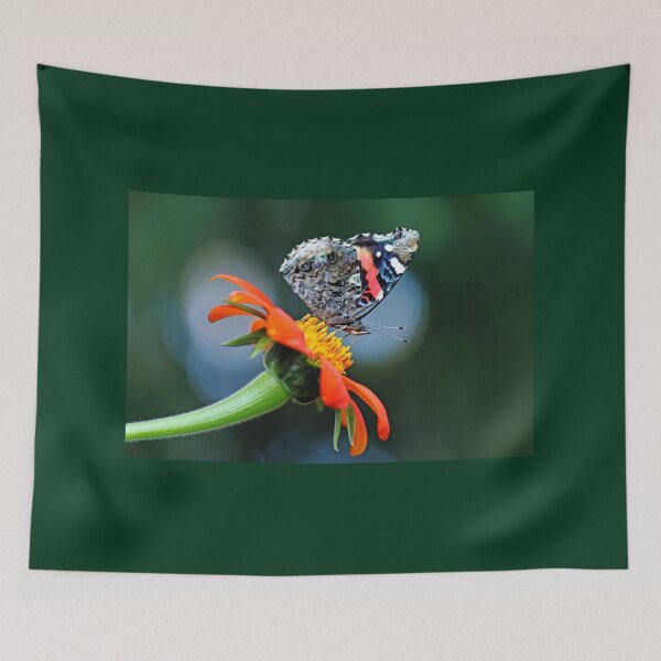 Item preview, Red Admiral In The Spotlight designed and sold by Debbie Oppermann.