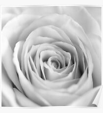 White I Poster
