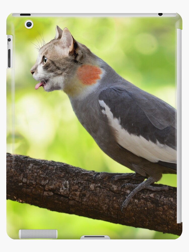Funda para iPad «Pájaro del gato» de bakkagirl | Redbubble