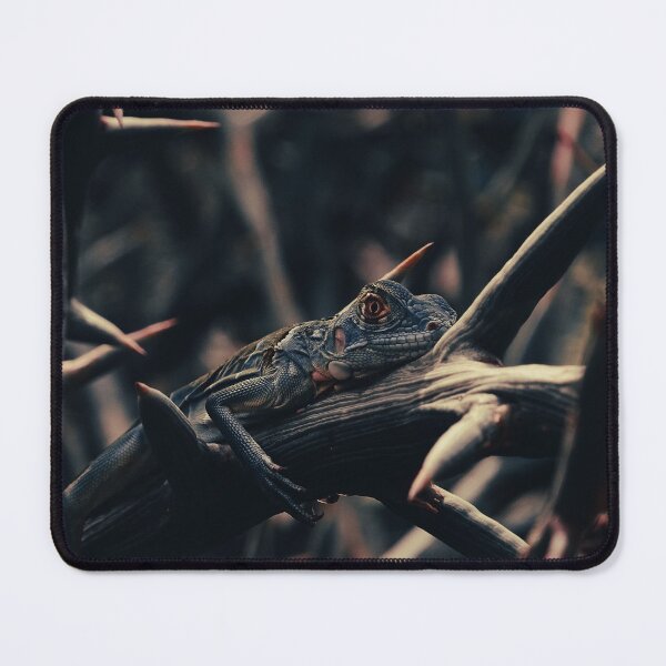 Item preview, Chilling in the thorns designed and sold by Dead-Moroz.