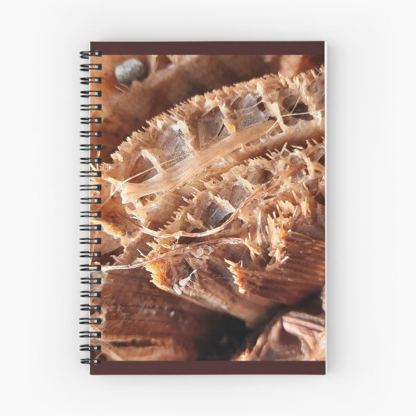 Item preview, Brown cut banana stump with fibers designed and sold by kall3bu.