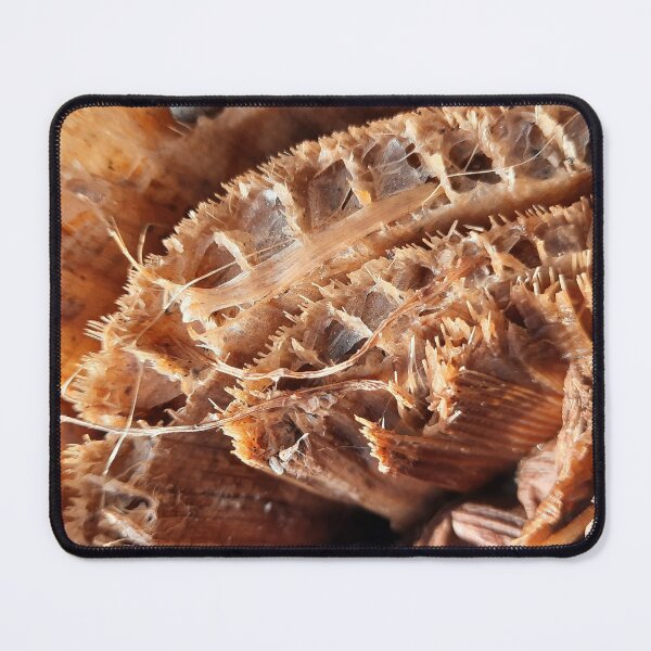 Item preview, Brown cut banana stump with fibers designed and sold by kall3bu.