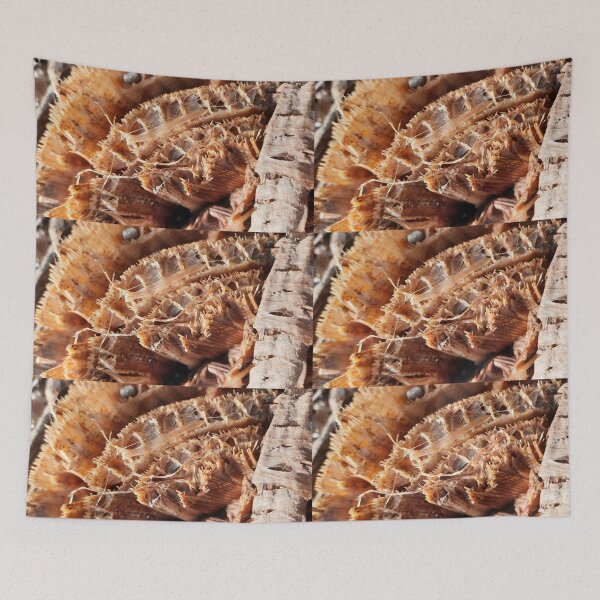 Item preview, Brown cut banana stump with fibers designed and sold by kall3bu.