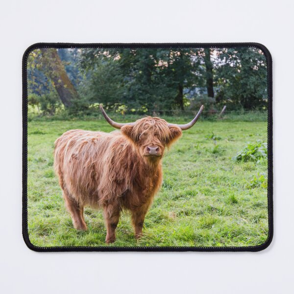 Item preview, highland cattle designed and sold by OE993.