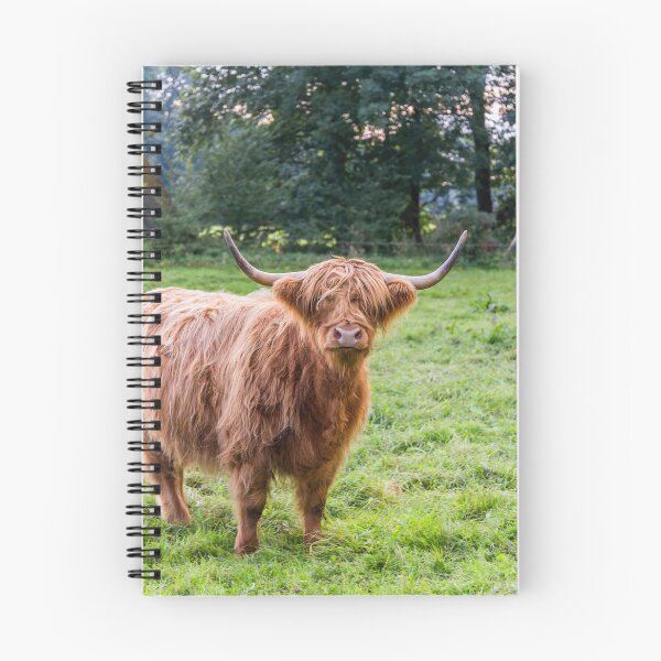 Item preview, highland cattle designed and sold by OE993.