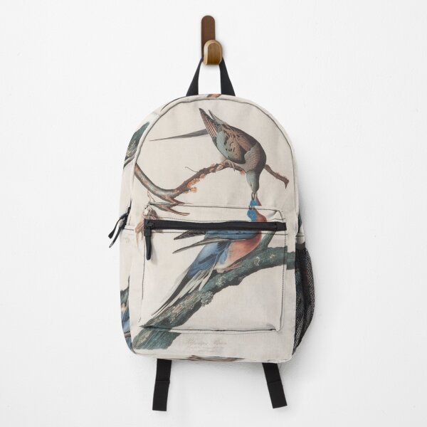 Item preview, John J. Audubon Passenger Pigeon designed and sold by OldTimeArt.