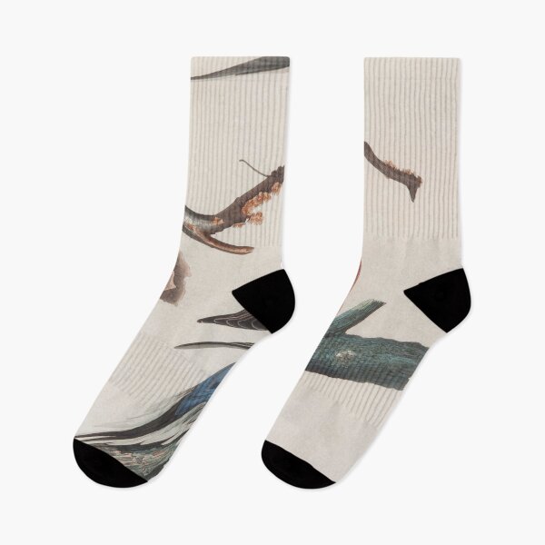 Item preview, John J. Audubon  Passenger Pigeon  designed and sold by OldTimeArt.