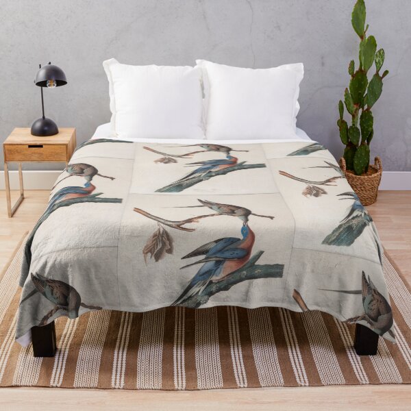 Item preview, John J. Audubon Passenger Pigeon designed and sold by OldTimeArt.