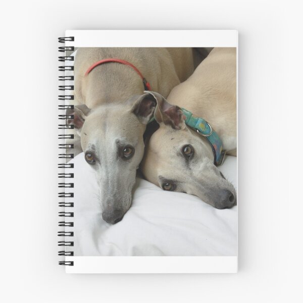 Item preview, Adorable Love Bug Whippets designed and sold by whippetmuse.
