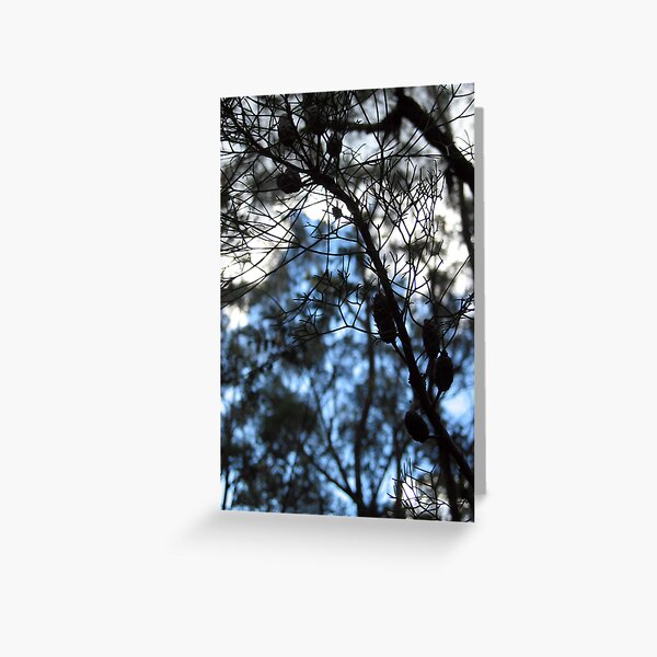 Mystic Cones Greeting Card