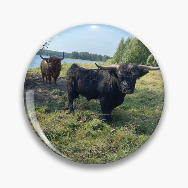 Artikelvorschau, Scottish Highland Cattle Bulls 4040 entworfen und verkauft von SaarelaHighland.