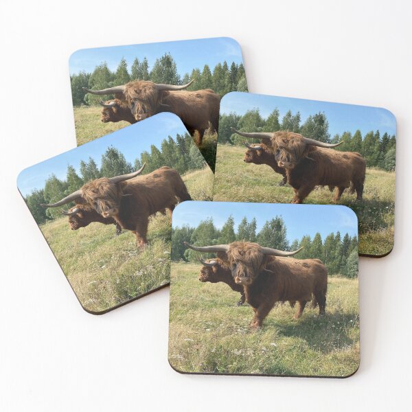 Artikelvorschau, Scottish Highland Cattle Bulls 4042 entworfen und verkauft von SaarelaHighland.