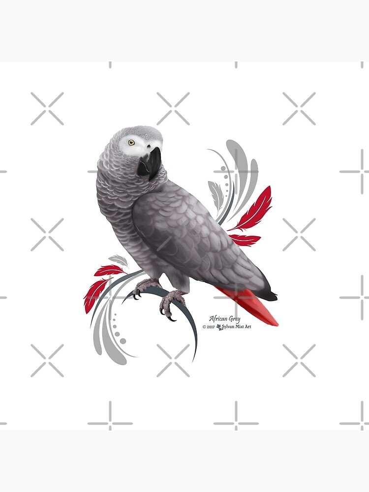 Disover African Grey Parrot Bag