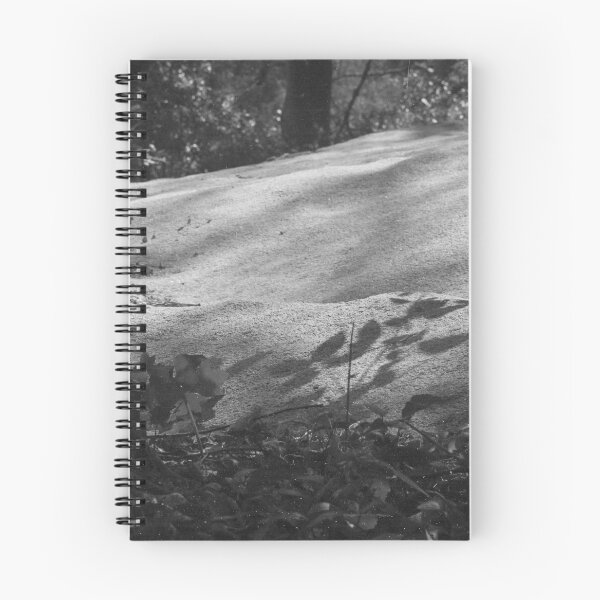 Artikelvorschau, bw Waldblätter. entworfen und verkauft von diana rogagels.